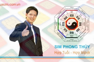 Đầu sim số đẹp 084 của mạng nào?