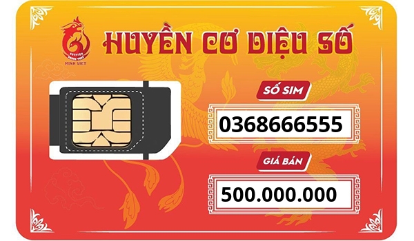 0368666555